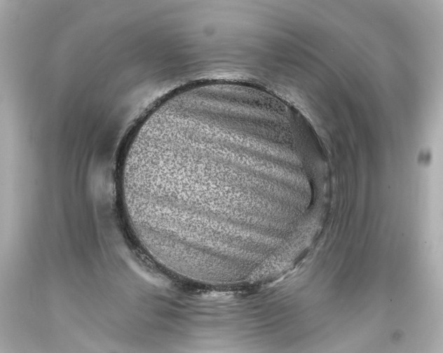 X0000093580252200710291107