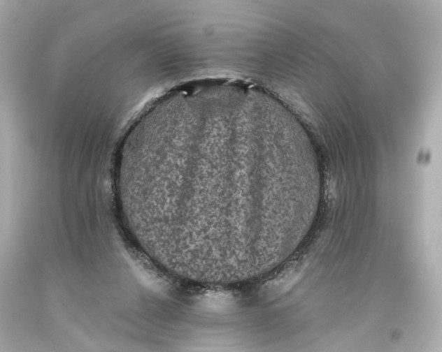 X0000093580256200710291107