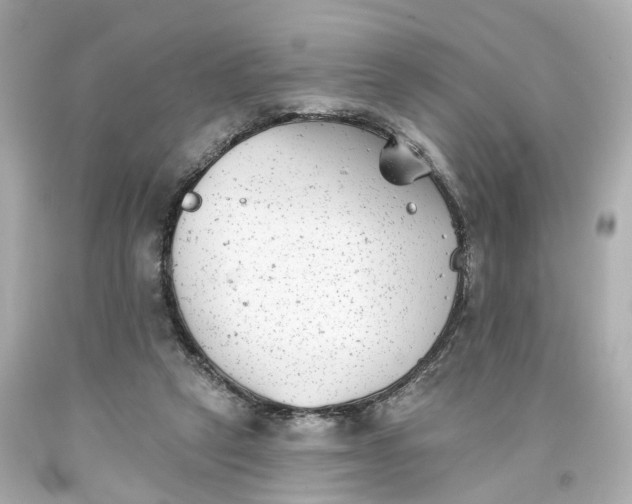 X0000093580257200710291107