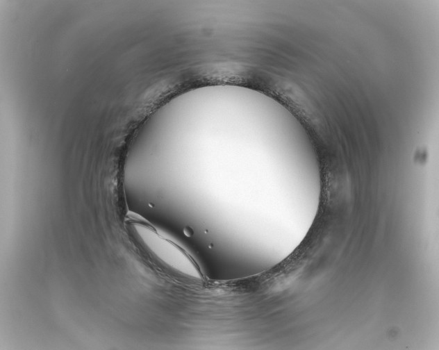 X0000093580259200710291107