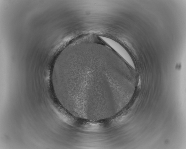 X0000093580260200710291108