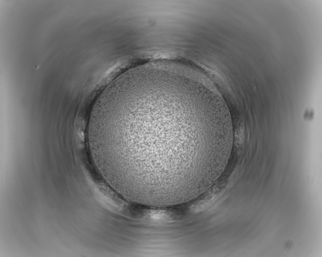 X0000093580264200710291108