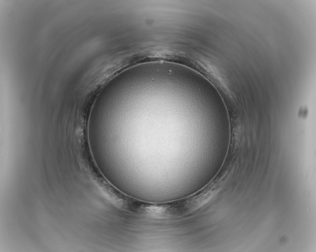 X0000093580265200710291108