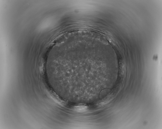 X0000093580266200710291108