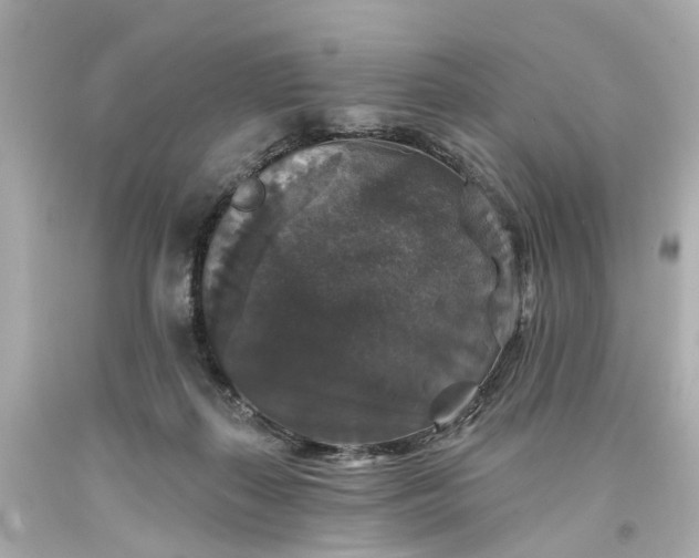 X0000093580267200710291108