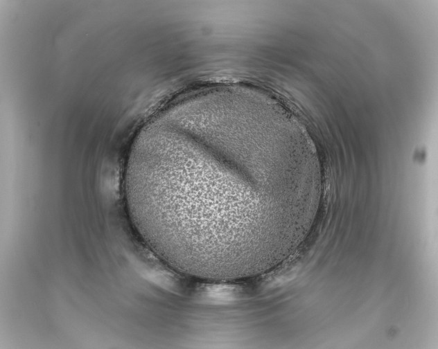 X0000093580268200710291108