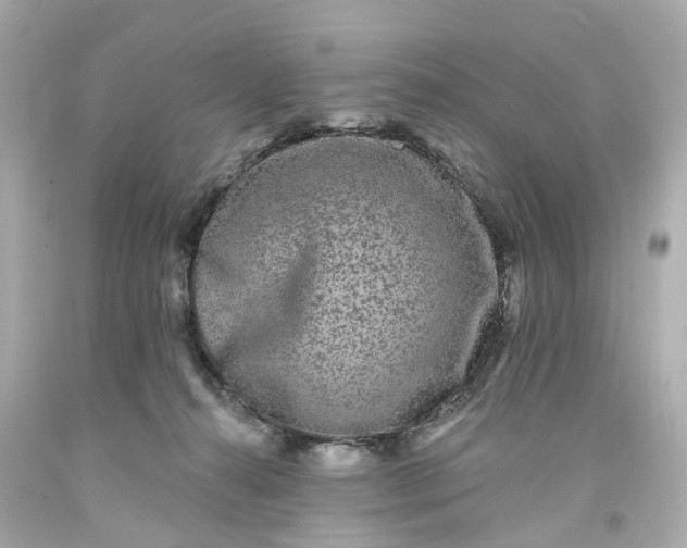 X0000093580272200710291108