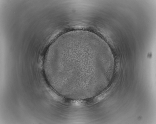 X0000093580273200710291108