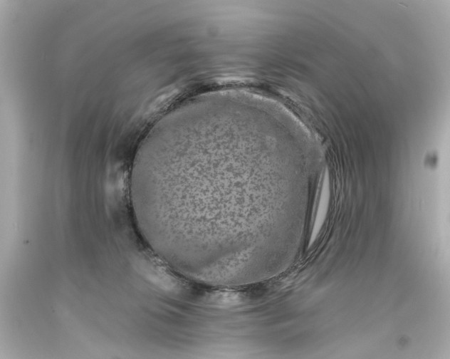 X0000093580276200710291108