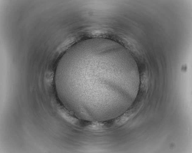 X0000093580278200710291108