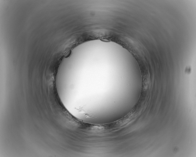 X0000093580279200710291108