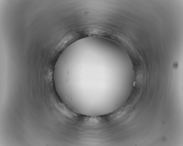 X0000093580282200710291108