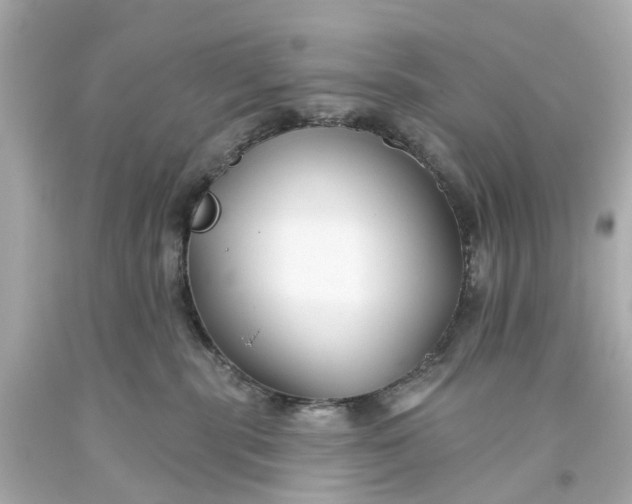 X0000093580283200710291108