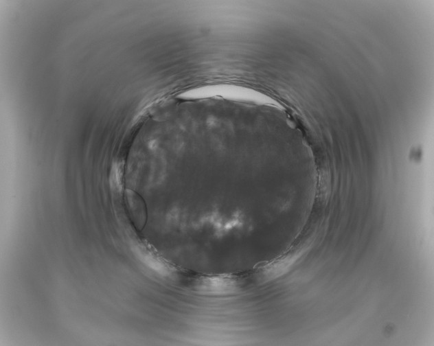 X0000093580286200710291108