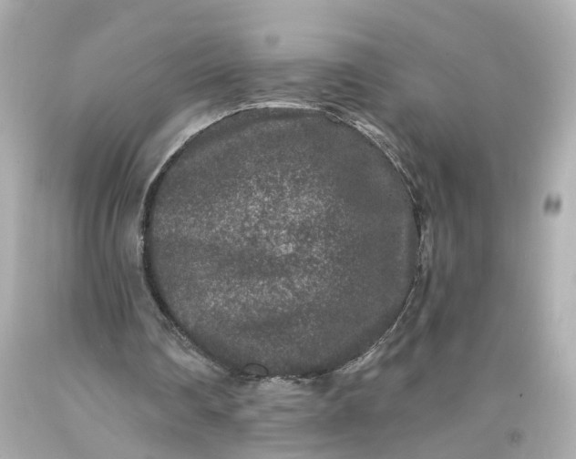 X0000093580290200710291107