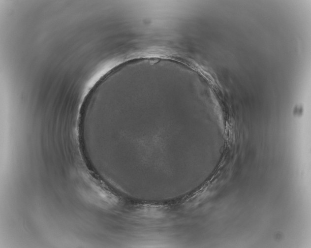 X0000093580292200710291107