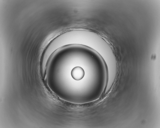 X0000093580293200710291107