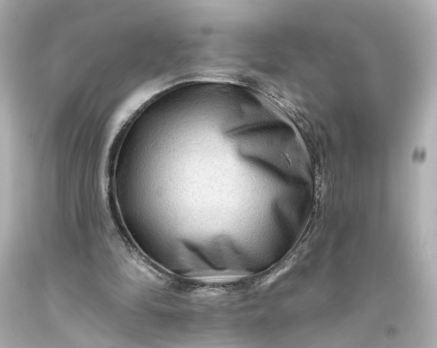 X0000093580294200710291107