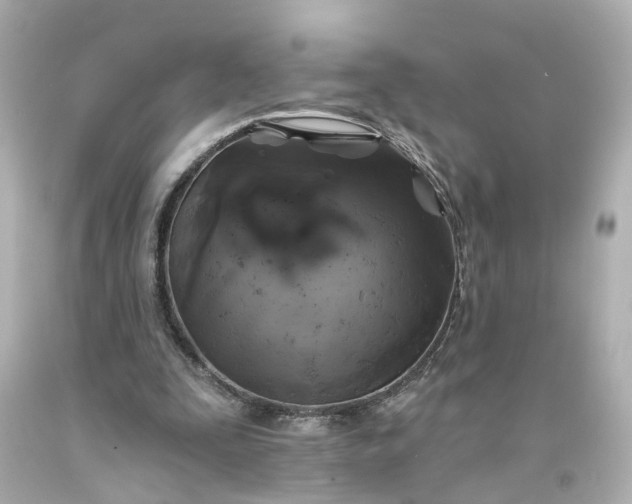 X0000093580295200710291107