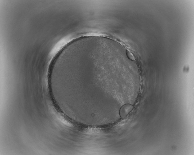 X0000093580296200710291107