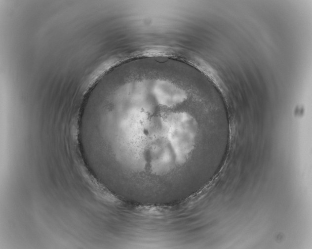 X0000093580297200710291107