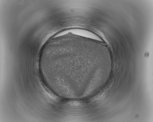 X0000093580299200710291107