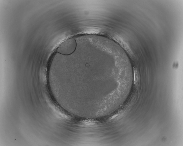 X0000093580300200710291107