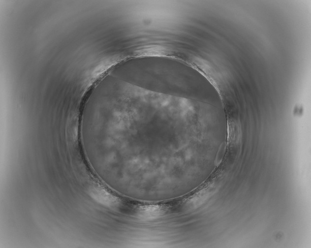 X0000093580301200710291107