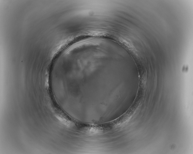 X0000093580303200710291107