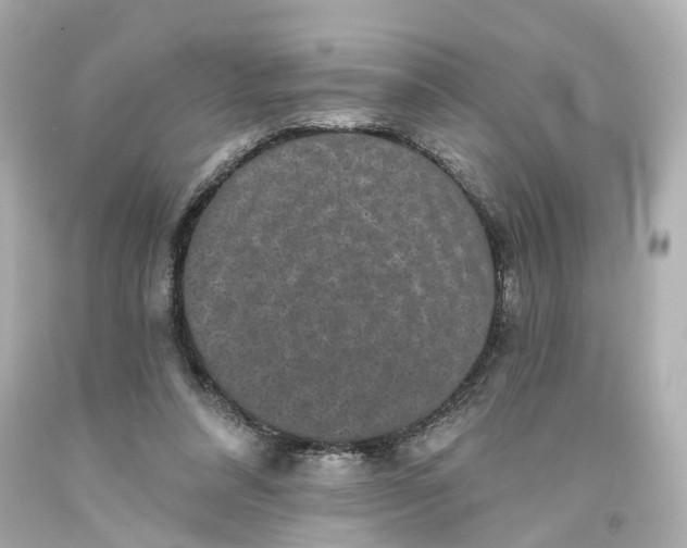 X0000093580304200710291107