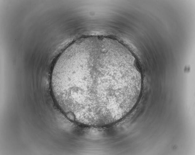 X0000093580305200710291107