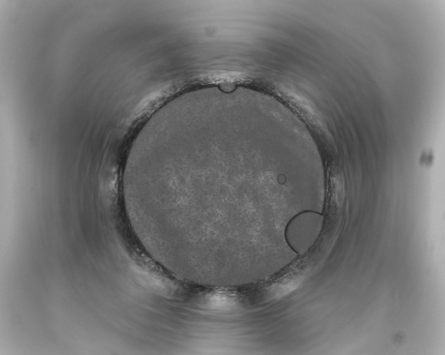 X0000093580308200710291107