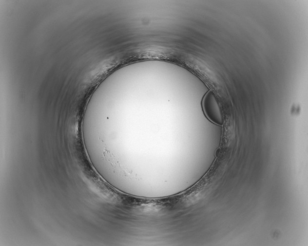 X0000093580310200710291107