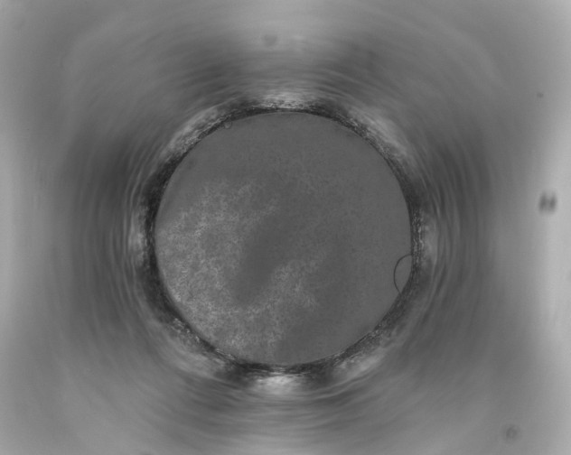 X0000093580312200710291107