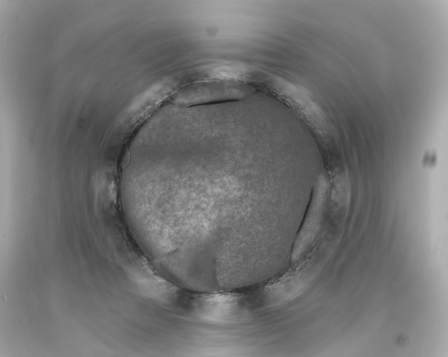 X0000093580313200710291107