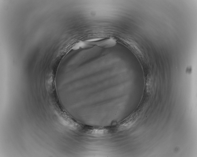 X0000093580314200710291107