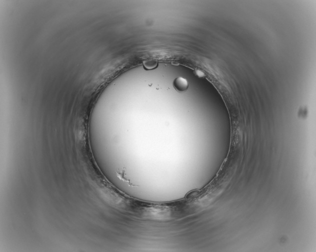 X0000093580317200710291107