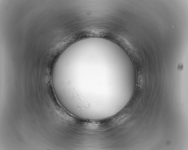 X0000093580318200710291107