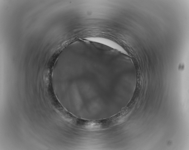 X0000093580319200710291107