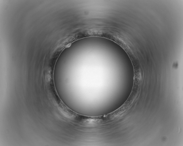 X0000093580323200710291107