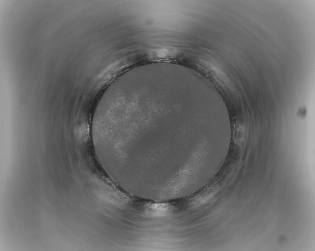 X0000093580324200710291107