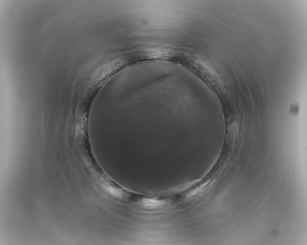 X0000093580325200710291107