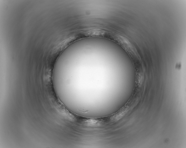 X0000093580326200710291107