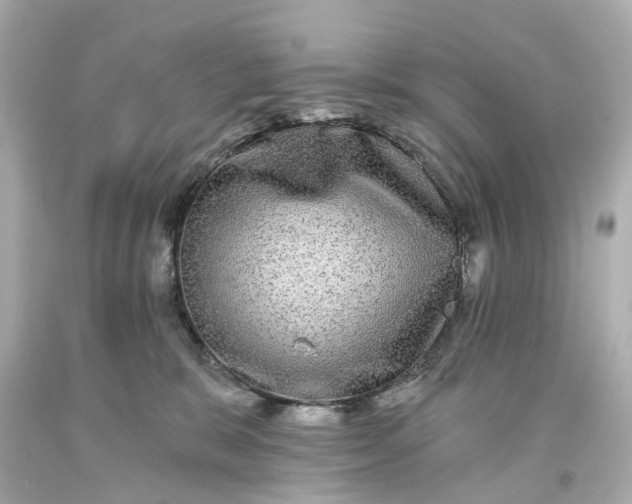 X0000093580327200710291107