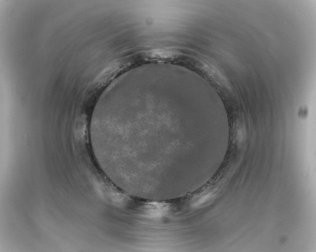 X0000093580328200710291107