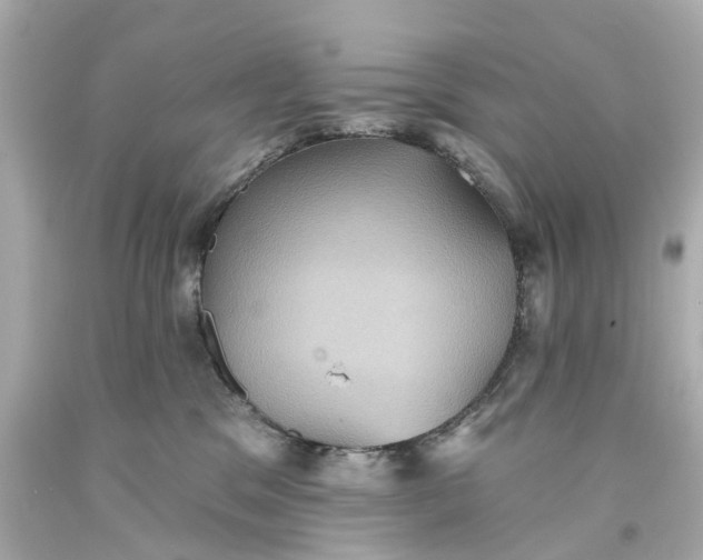 X0000093580329200710291107