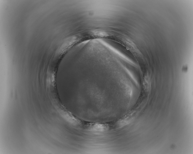 X0000093580330200710291107