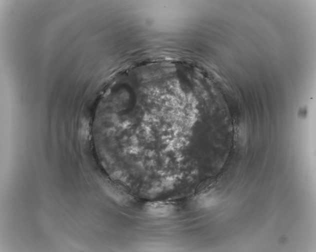 X0000093580331200710291107