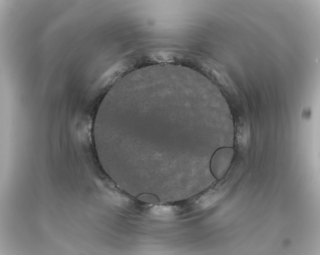 X0000093580332200710291107