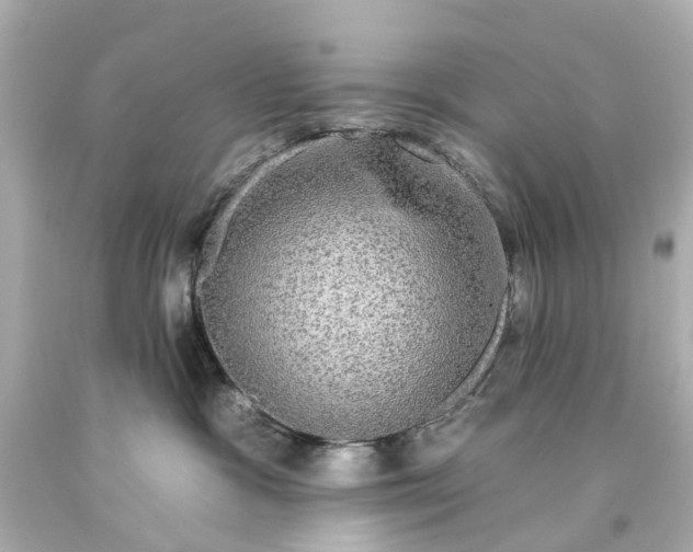 X0000093580333200710291107